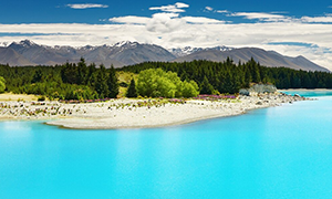 Imagen de Nueva Zelanda
