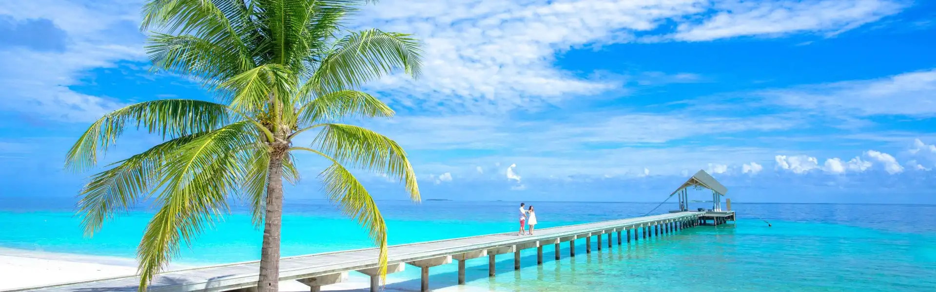 Promoción  todo el año