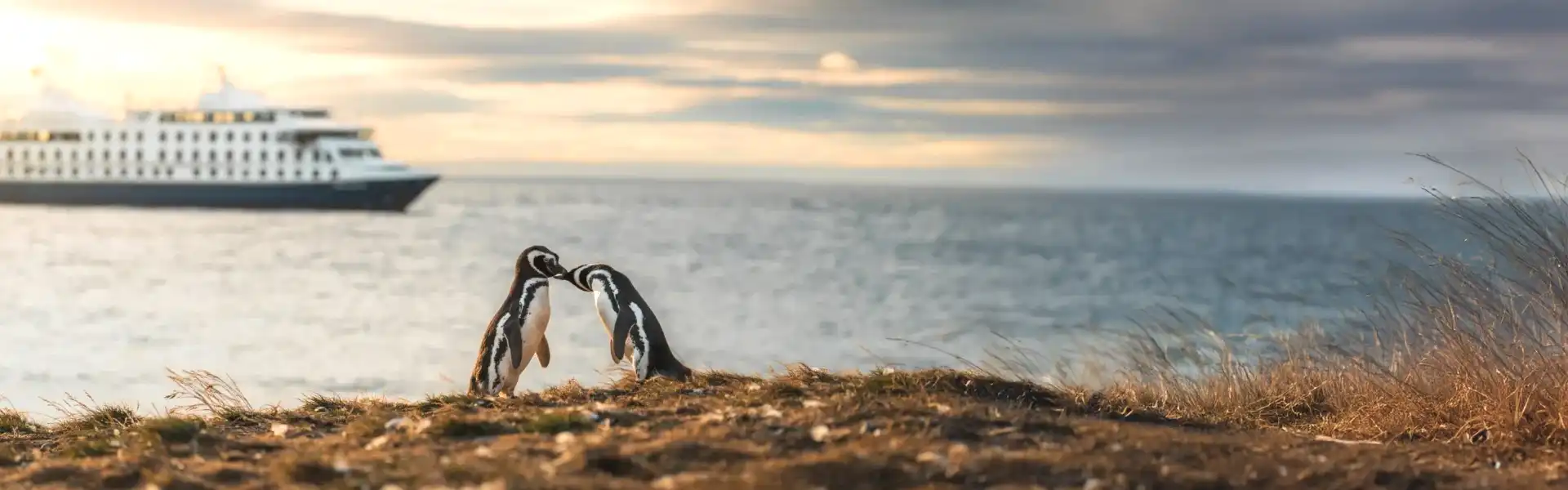 Glaciares y Pingüinos Todo el Año