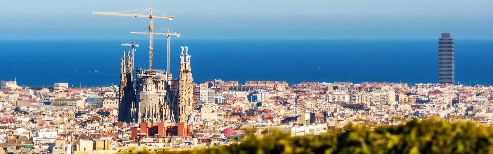Cruceros 2025