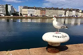 Imagen de Cherbourg