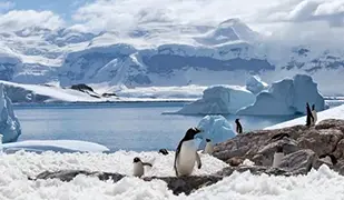 immagine di Antártida