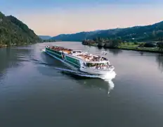 Ms Amadeus Riva