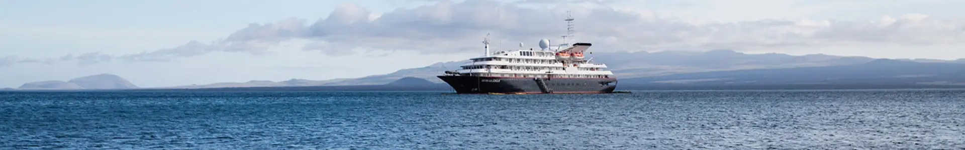 Silver Galapagos