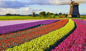 Imagen de Holanda